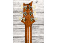 PRS Custom 24 Yellow Tiger