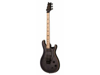 PRS  DUSTIE WARING CE Floyd Grey Black