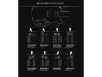 PRS  McCarty 594 Charcoal Burst