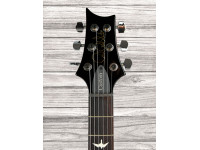 prs-s2-custom-24-elephant-gray_669e324d87e1c.jpg