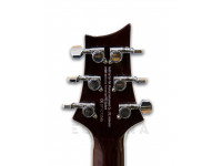 prs-se-245-standard-ts_602a7f83b51f4.jpg
