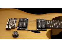 PRS SE CE24 Standard Satin Metallic Gold 2025