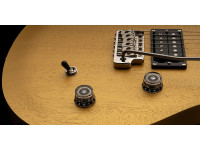 PRS SE CE24 Standard Satin Metallic Gold 2025