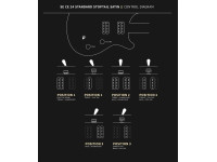 PRS SE CE24 Standard Satin Stoptail Charcoal