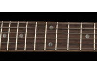 PRS SE DGT Standard Moons MTS
