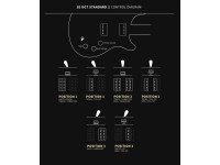 PRS SE DGT Standard Moons MTS