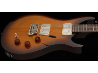 PRS SE DGT Tobacco Sunburst