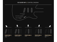 PRS SE Silver Sky Lauren Green