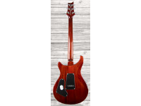 prs-se-standard-24-tobacco-burst-21_60a7cd646e776.jpg