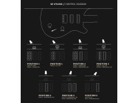PRS SE Studio Orange Tiger Smokeburst (2026)