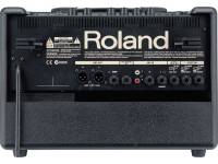 roland-ac-60_5a9045248344a.jpg