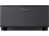 roland-cube-lite-bk_5f16e2bcc91a0.jpg