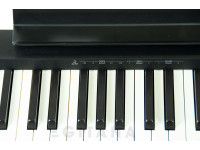 roland-fp-10-bk-painel-de-controlos_630e09169a7c5.jpg
