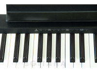 roland-fp-10-bk-painel-de-controlos_63690bab43569.jpg