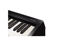 roland-fp-10-bk_5db1e67232789.jpg