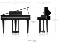 Roland GP-3 PE dimensões medidas peso