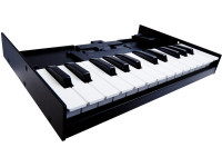 roland-k-25m-teclado-com-25-notas-para-modulos-roland-boutique_630e4ee501402.jpg