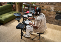 Roland  TD313 V-Drums