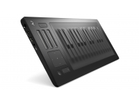 roli-seaboard-rise-25_5d80b66852615.jpg