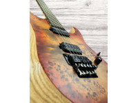 schecter-reaper-6-fr-s-sib_6138edc23cc59.jpg