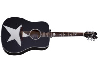 schecter-robert-smith-rs-1000-stage-acoustic-gloss-black_6a9abed8d25ff.jpg