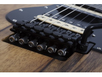Schecter Sun Valley Super Shredder FR Exotic Black Limba Schecter Sun Valley Super Shredder FR Exotic Black Limba