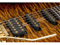 schecter-usa-custom-shop-cet-50th-anniversary-golden-anniversary-41-of-50_6995e57d0a28b.jpg