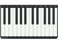 sensel-piano-overlay_602aa5f228556.jpg