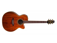takamine-ef508kc_5b3e4983b3914.jpg