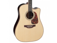 takamine-p7dc_5b3f251643e34.jpg
