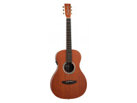 Tanglewood Elemental TE8EBL