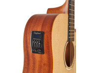 Tanglewood TR 5 CE