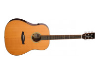 Tanglewood TRS5SE Tanglewood TRS5SE