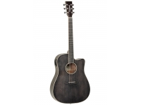 tanglewood-tw5-bs_5eafde161484e.jpg