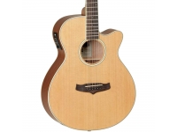 tanglewood-tw9_5addf4a855cd9.jpg
