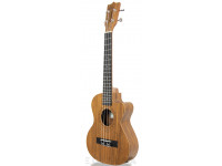 tanglewood-twt14e_605dcd65b324f.jpg