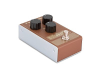 TC Electronic  Echobrain Analog Delay