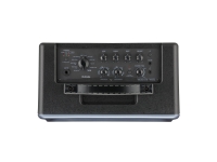 Vox VX50GTV Vox VX50GTV