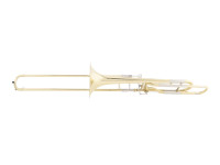 Wisemann  DTB 280 Gold