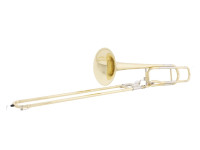 Wisemann  DTB 280 Gold