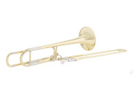 Wisemann  DTB 280 Gold