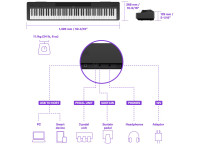 Yamaha  P-145 B BT