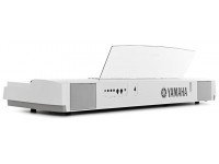 yamaha-p-255b_563ddc843110c.jpg