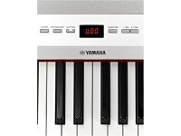yamaha-p-255b_563ddc84e4fb7.jpg