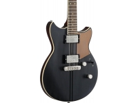 yamaha-revstar-rsp20cr_5ad4603f5b1ec.jpg